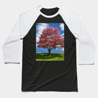 Blooming Tree Baseball T-Shirt